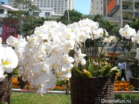 Vietnam