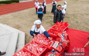 pork meat as a reward