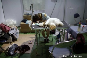 Seoul Dog show