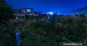 Dancing fireflies