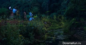 Dancing fireflies