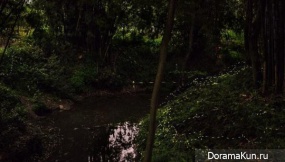 Dancing fireflies