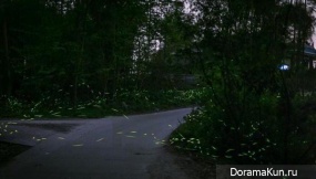 Dancing fireflies