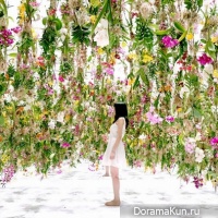 Floating Flower Garden