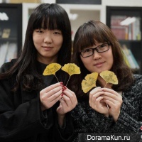 the drawings on the leaves of the tree Ginkgo