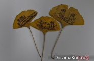 the drawings on the leaves of the tree Ginkgo