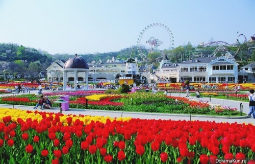 Tulip festival in Everland