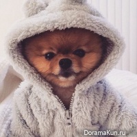 Korean Instagram