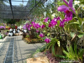 Nong Nooch Tropical Garden