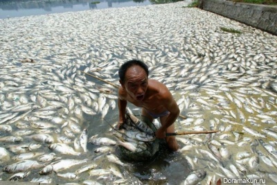 Asia pollution