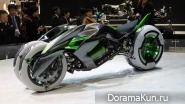 Kawasaki J