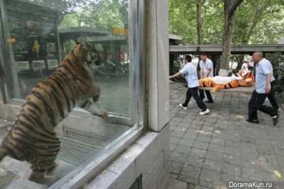 Escape from the zoo