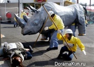 Escape from the zoo