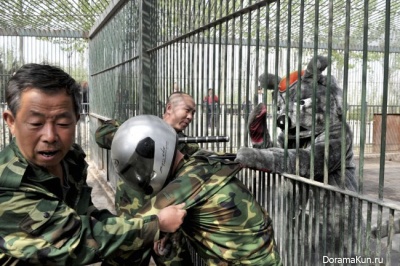 Escape from the zoo
