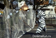 Escape from the zoo