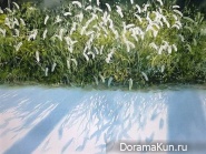 Abe Toshiyuki