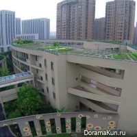 Chinese school