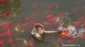 Wildlife Park Hefei