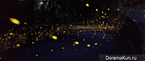 Japanese fireflies