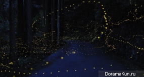 Japanese fireflies
