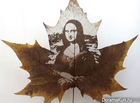 the leaves of sycamore