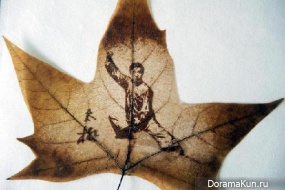 the leaves of sycamore