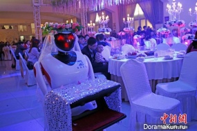 robot - bridesmaid