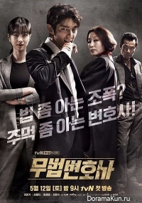 Lawless Lawyer
