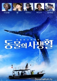 Secrets of Wildlife
