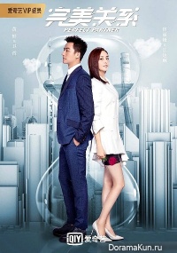 Perfect Partner