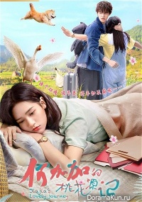 Jiajia's Lovely Journey