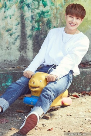 Hanse