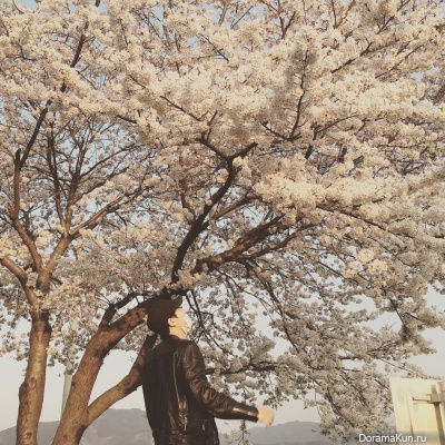 Chanyeol Chanyeol