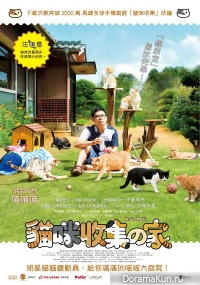 Cat Collection's House