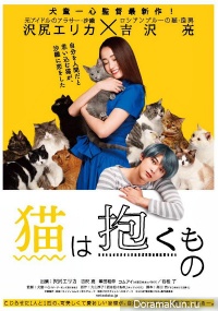 Holding The Cat in Arms
