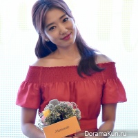 Park Shin Hye