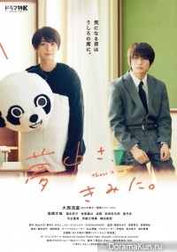 Muchu sa, Kimi ni