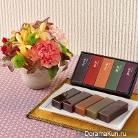 Mizu Yokan