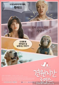 Monkey and Dog Romance