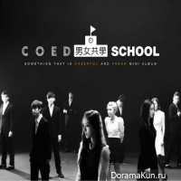 Co-Ed School