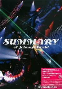 SUMMARY OF JOHNNYS WORLD