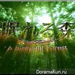 A Sleeping Forest