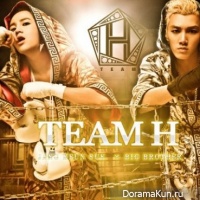 TEAM H