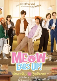 Meow Ears Up