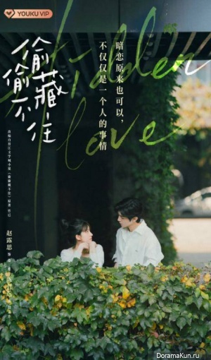 Hidden Love