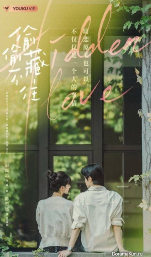 Hidden Love