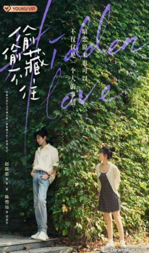 Hidden Love