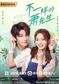 A Different Mr. Xiao