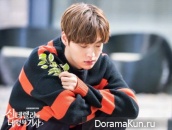 Cinderella and Four Knights