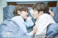Cinderella and Four Knights